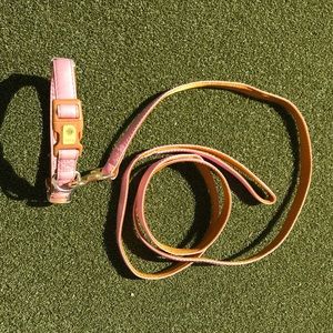 American Kennel Club Dog Leash and Collar Set